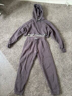 Aritzia Sweatsuit
